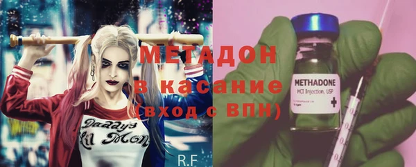 индика Алзамай