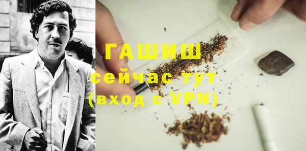 индика Алзамай