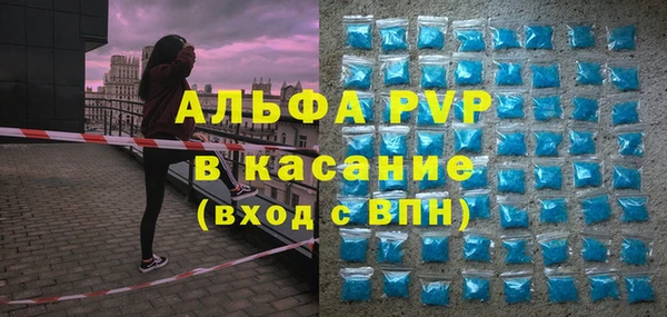 индика Алзамай