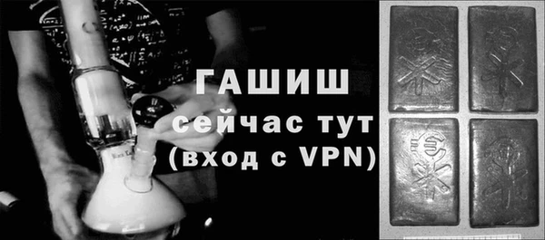 индика Алзамай