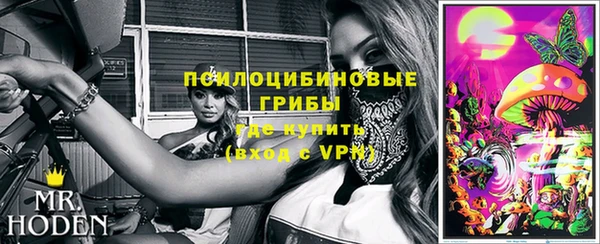 ПСИЛОЦИБИНОВЫЕ ГРИБЫ Алексеевка