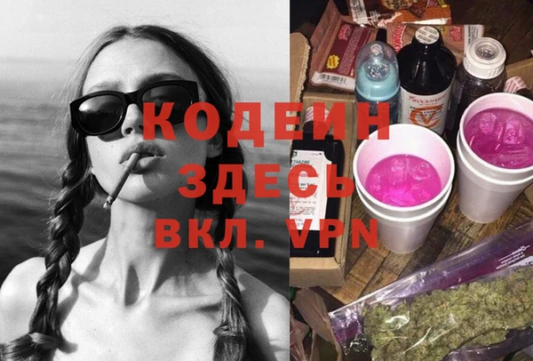 индика Алзамай