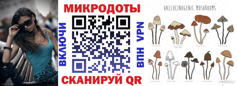 Псилоцибиновые грибы Psilocybe  закладка  Калач-на-Дону 
