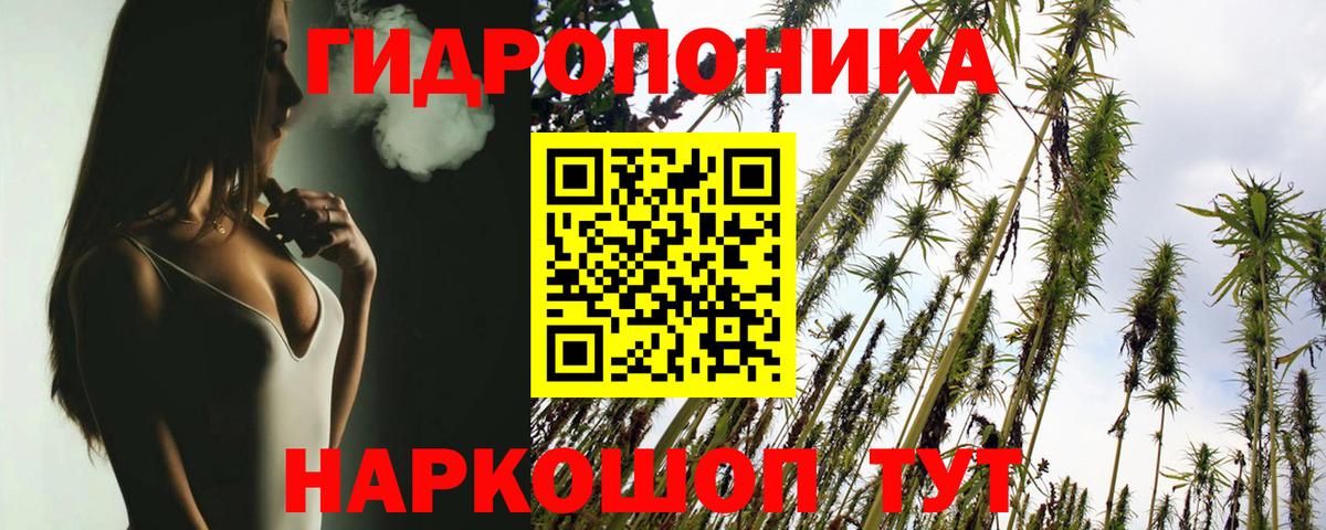 Шишки марихуана конопля  Вход с VPN  Каннабис конопля  Канабис конопля  Калач-на-Дону 